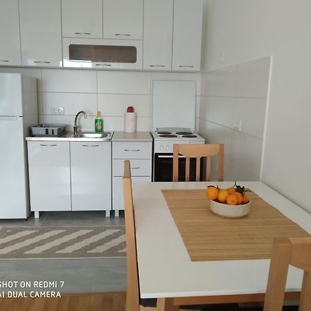Renta Apartman Podgoriţa Exterior foto