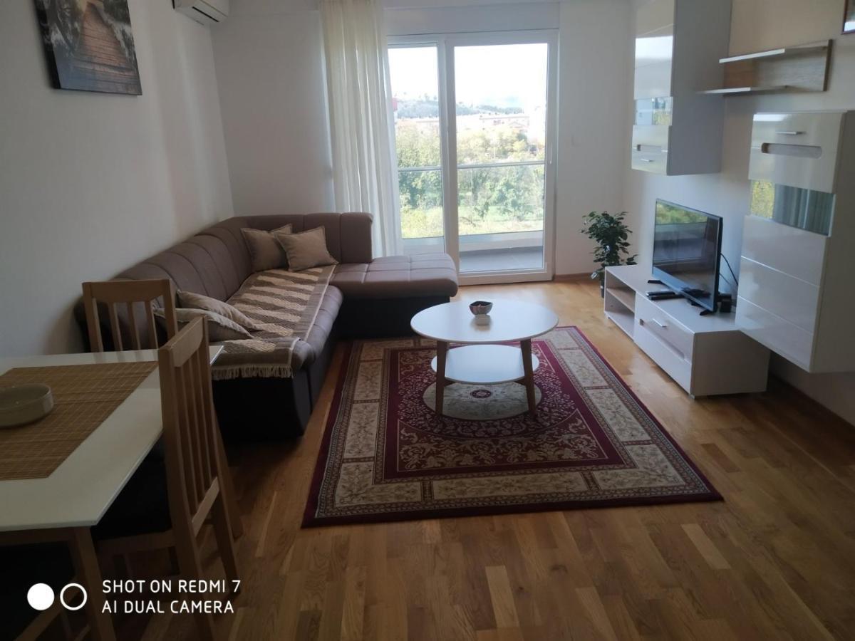 Renta Apartman Podgoriţa Exterior foto