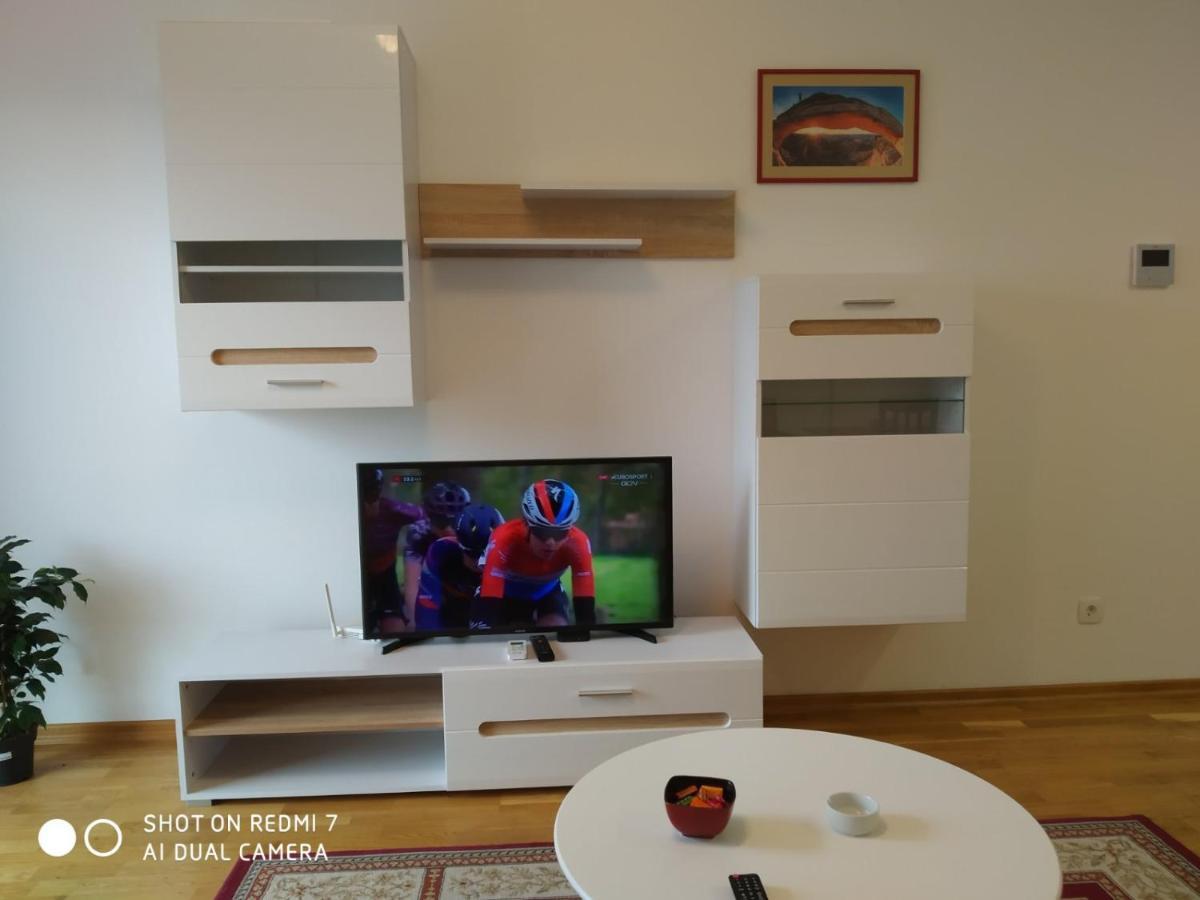 Renta Apartman Podgoriţa Exterior foto