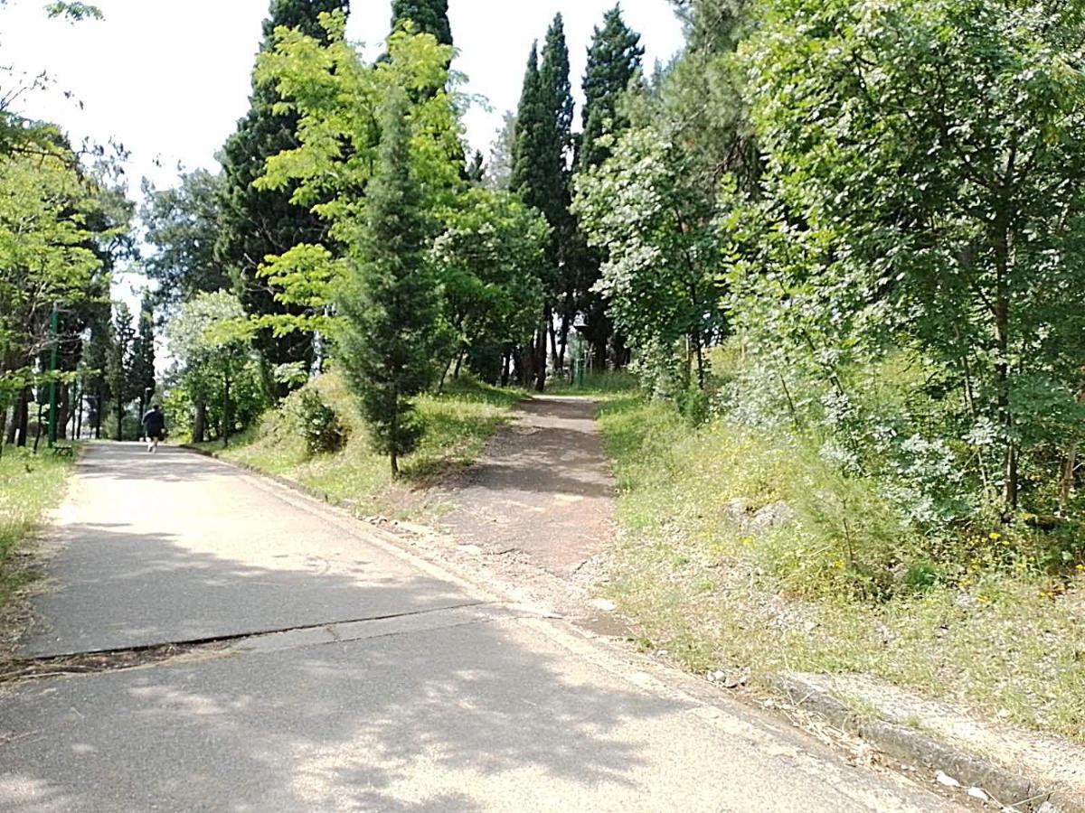 Renta Apartman Podgoriţa Exterior foto