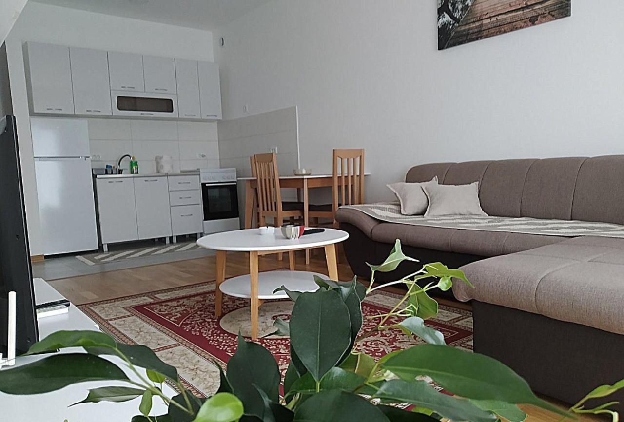 Renta Apartman Podgoriţa Exterior foto