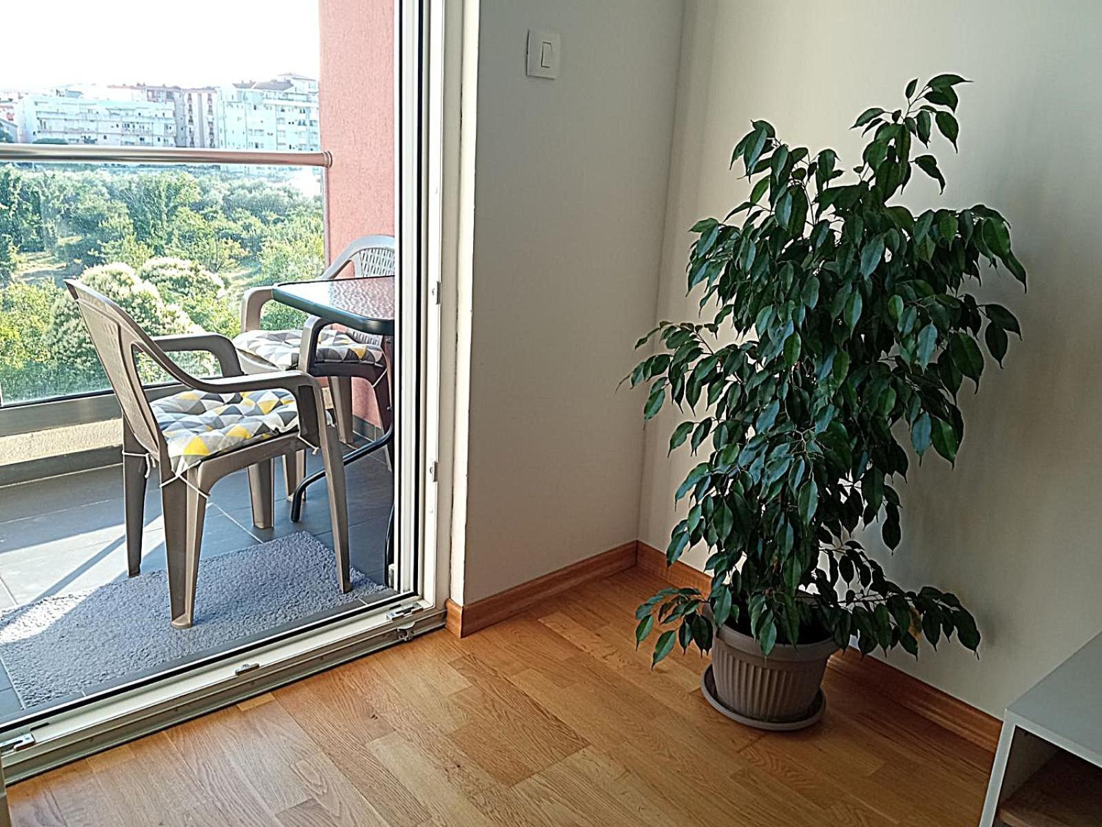 Renta Apartman Podgoriţa Exterior foto